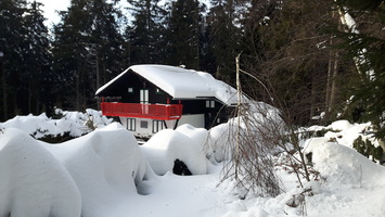 201901 Gis Schaden 9